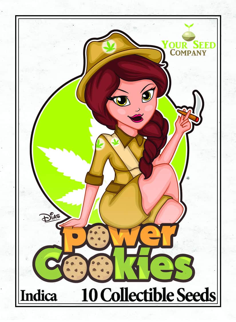 Power Cookies